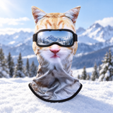 Ginger Cat