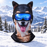 Black & Tan Dog