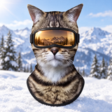 Brown Tabby